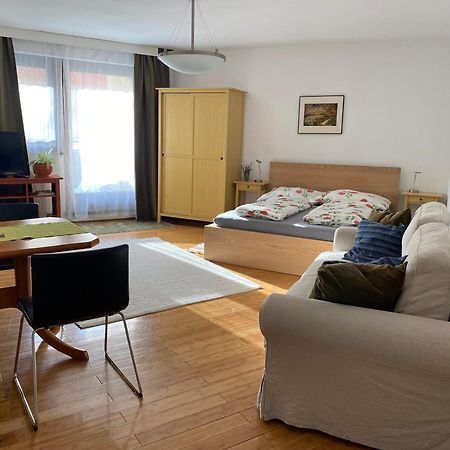 Apartment Grazbachgasse - Gratis Tiefgaragenplatz Exterior foto